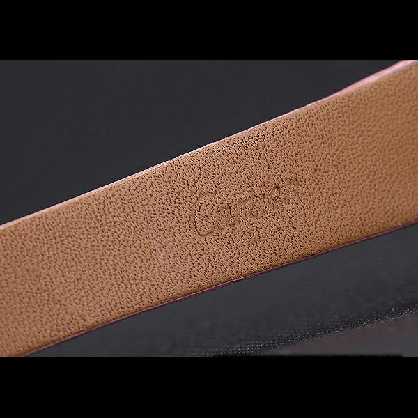 Cartier Santos 100 Diamond Rose Gold Bezel new59830
