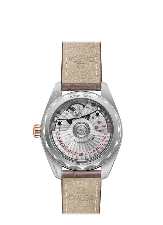 Omega Replica Watch Seamaster AQUA TERRA 150M CO‑AXIAL MASTER CHRONOMETER 220.23.34.20.06.001